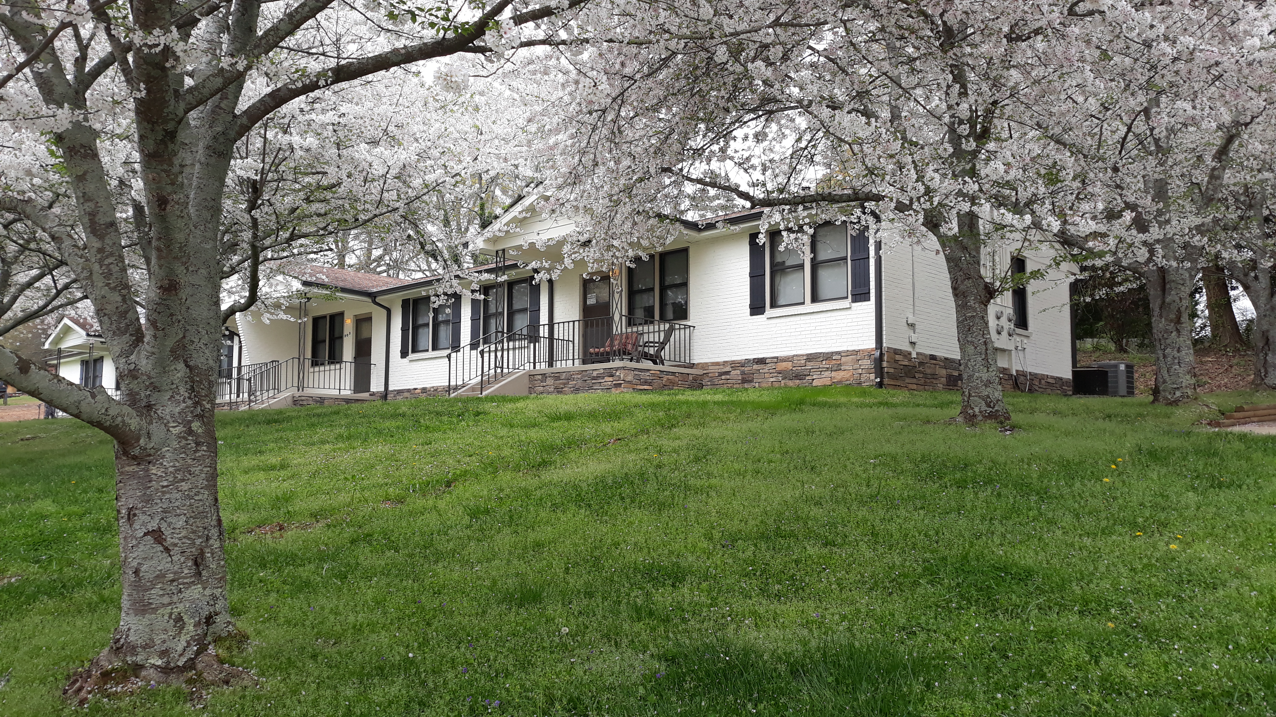 Shows the pathway leading up to the brick rowhouses